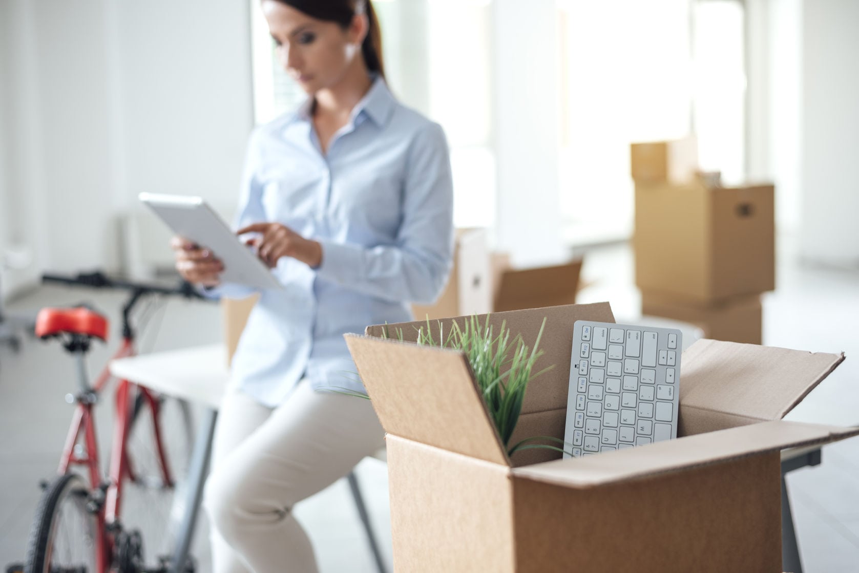 Factors to Consider When Looking for San Diego Apartment Movers